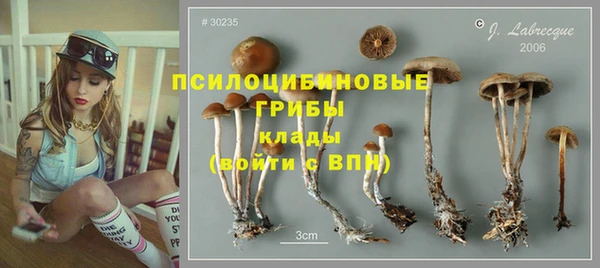 каннабис Алзамай