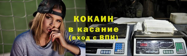 дмт Няндома