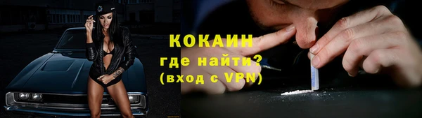 кокс Алексин
