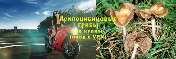 МДПВ Алексеевка