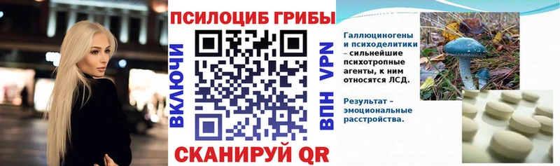купить наркотики цена Новозыбков Галлюциногенные грибы MAGIC MUSHROOMS