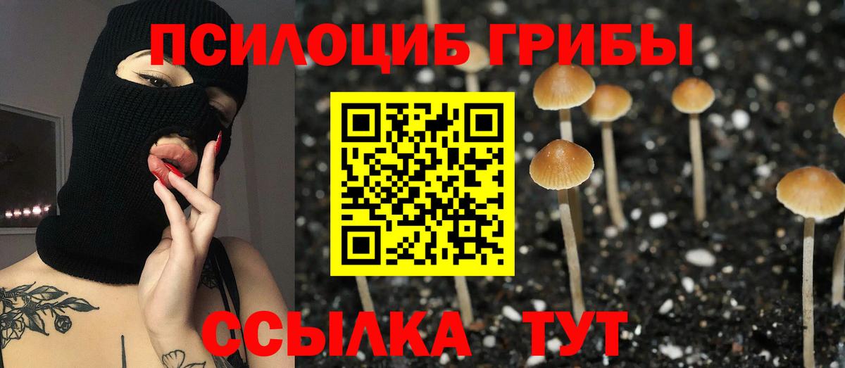 Галлюциногенные грибы ЛСД Новозыбков