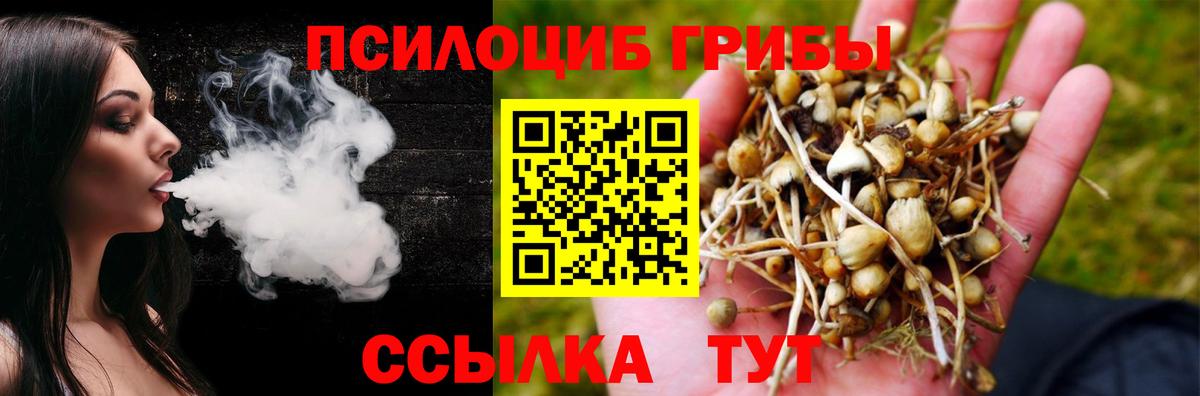 Псилоцибиновые грибы прущие грибы  Вход с VPN  магазин продажи   Галлюциногенные грибы прущие грибы  Новозыбков 