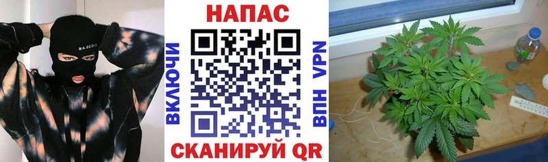 где продают наркотики Новозыбков Конопля LSD WEED